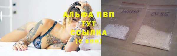 крисы Осташков