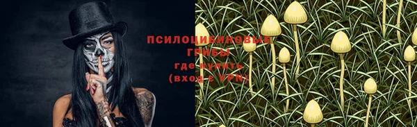 крисы Осташков