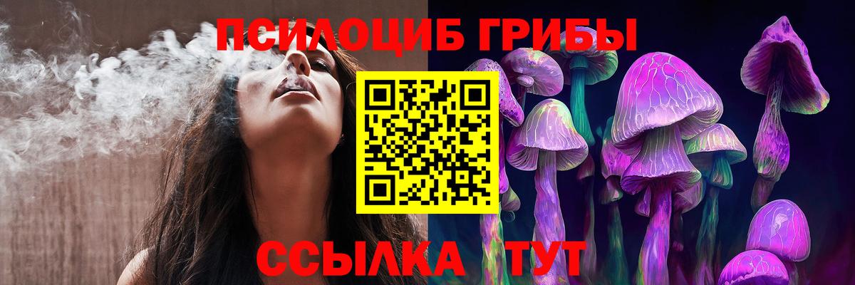 Псилоцибиновые грибы Psilocybine cubensis  что такое   Стерлитамак  Вход с VPN 